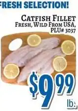 Trade Fair Supermarket Catfish Fillet offer