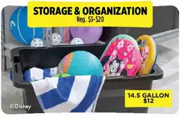 Dollar General Disney storage & organization offer