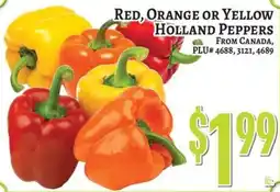 Trade Fair Supermarket Holland Peppers offer