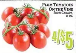 Trade Fair Supermarket Plum Tomatoes On The Vine From Canada offer