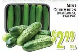 Trade Fair Supermarket Mini Cucumbers offer