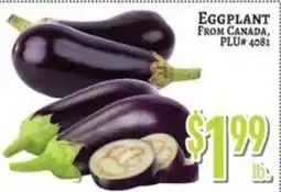 Trade Fair Supermarket Eggplant offer
