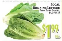 Trade Fair Supermarket Local Romaine Lettuce offer