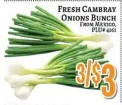 Trade Fair Supermarket Fresh Cambray Onions Bunch offer