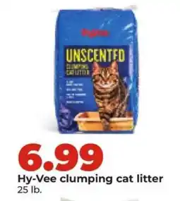 Hy-Vee Hy-Vee clumping cat litter offer