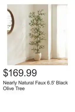 Costco Nearly Natural Faux 6.5' Black Olive Tree offer