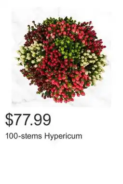 Costco 100-stems Hypericum offer