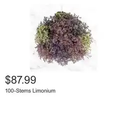 Costco 100-Stems Limonium offer