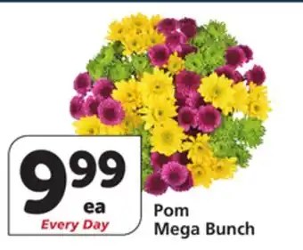 Albertsons Pom Mega Bunch offer