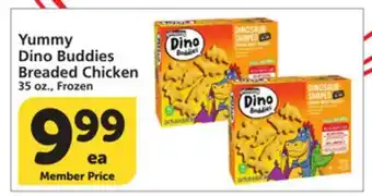 Vons Yummy Dino Buddies Breaded Chicken offer