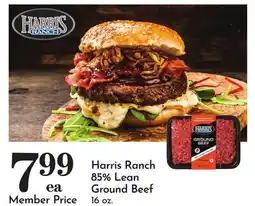 Pavilions Harris Ranch 85% Lean Ground Beef offer