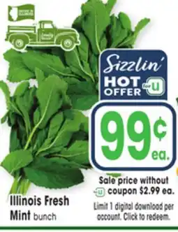 Jewel-Osco Illinois Fresh Mint offer