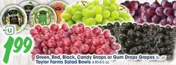 Jewel-Osco Green, Red, Black, Candy Snaps or Gum Drops Grapes lb., or Taylor Farms Salad Bowls 4.85-8.5 oz offer