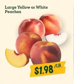 Sprouts Farmers Market Large Yellow or White Peaches offer