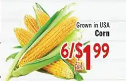 Rio Valley Market Corn offer