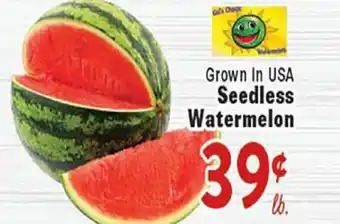 Rio Valley Market Seedless Watermelon offer