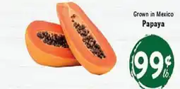 Rio Valley Market Papaya offer