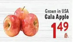 Rio Valley Market Grown in USA Gala Apple offer