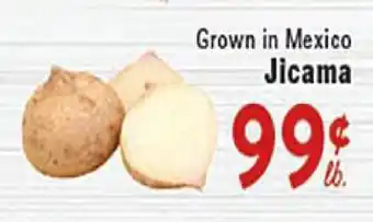 Rio Valley Market Jicama offer