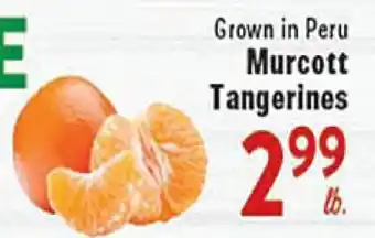 Rio Valley Market Murcott Tangerines offer