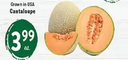 Rio Valley Market Cantaloupe offer