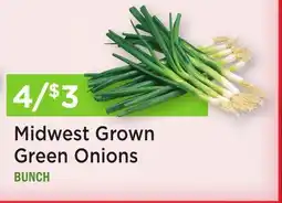 Heinen's Midwest Grown Green Onions offer