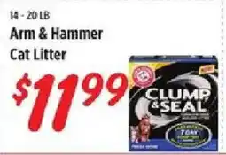 Rouses Arm & Hammer Cat Litter offer