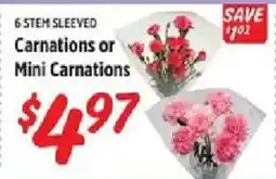 Rouses Carnations or Mini Carnations offer