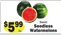 Sellers Bros Sweet Seedless Watermelons offer