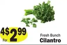 Sellers Bros Fresh Bunch Cilantro offer