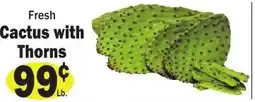 Sellers Bros Fresh Cactus with Thorns offer