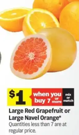 Meijer Large red grapefruit or large navel orange offer