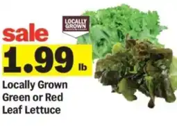 Meijer Locally grown green or red leaf lettuce offer