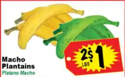 Superior Grocers Macho Plantains offer