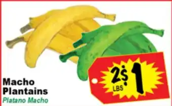 Superior Grocers Macho Plantains offer