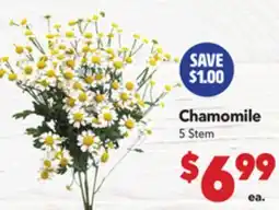 Vallarta Supermarkets Chamomile offer