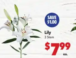 Vallarta Supermarkets Lily offer