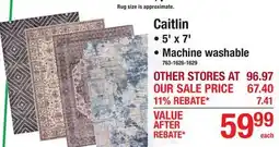 Menards Caitlin AREA RUGS offer