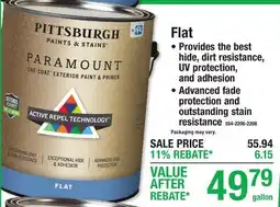 Menards Flat Exterior Paint & Premier offer