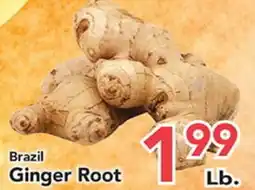 Eurofresh Market Brazil Ginger Root offer