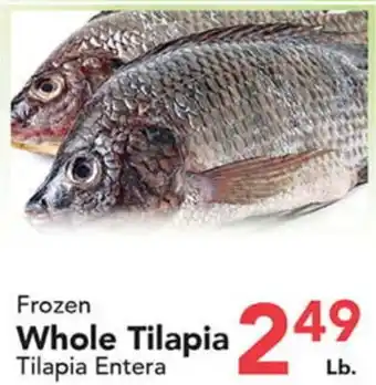 Eurofresh Market Frozen Whole Tilapia offer