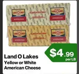 Market Place on Oakton Land O Lakes Yellow or White American Cheese offer