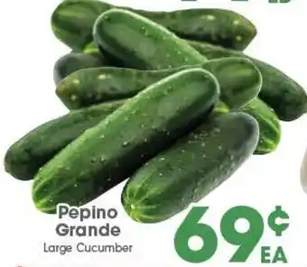 Pepino Grande Large Cucumber