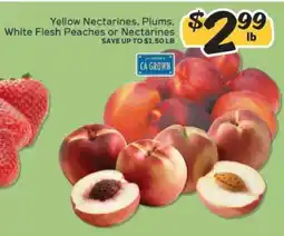 Winn Dixie Yellow Nectarines, Plums, White Flesh Peaches or Nectarines offer