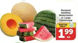 Albertsons Personal Seedless Watermelon or Large Cantaloupe offer