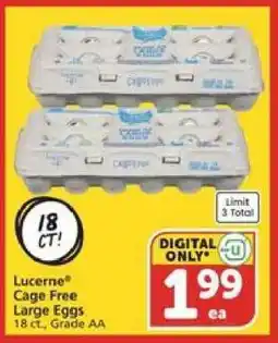 Albertsons Lucerne Cage Free Large Eggs offer