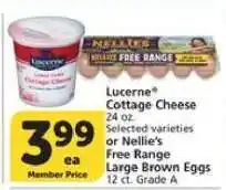 Albertsons Lucerne Cottage Cheese or Nellie's Free Range Large Brown Eggs offer