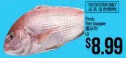Hmart Fresh Red Snapper offer