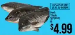 Hmart Fresh Tilapia offer