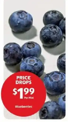 Blueberries